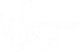 Windows 4 You